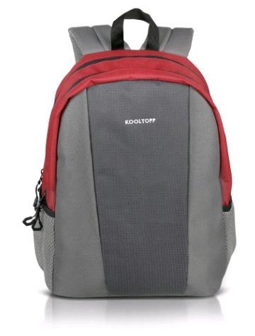 फैबिप्रो लैपटॉप बैकपैक रेड एंड ग्रे