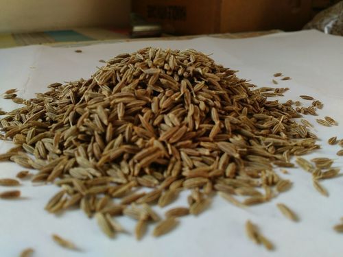 IPM Cumin Seeds