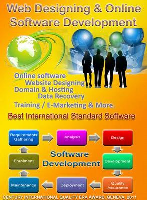 Software & Websites Development Service Cas No: 8007-80-5.