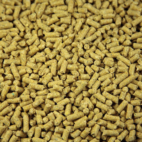 Animal Feeds - Wheat-Based Nutritional Blend for Cattle Horses Swine Sheep Goats and Poultry | Supports Milk Yield Reproductive Ability and Body Development with Vitamins Minerals Probiotics and Amino Acids