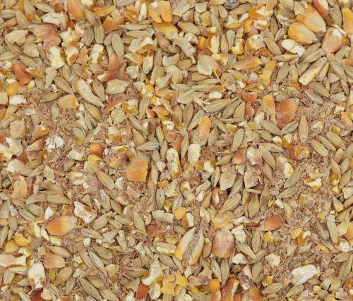 Wheat Flour - Premium Quality, Multi-Pack Size Options | Versatile Baking Ingredient, Renowned Nationally