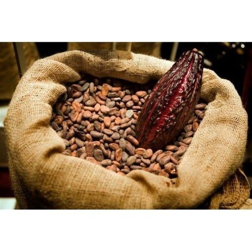 Cocoa Beans And Powder