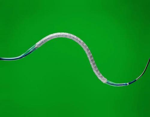 Abbott Xience Xpedition Everolimus Eluting Coronary Stent