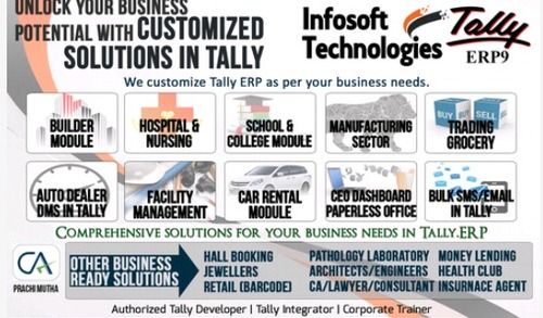 Customized Tally Erp9 Services