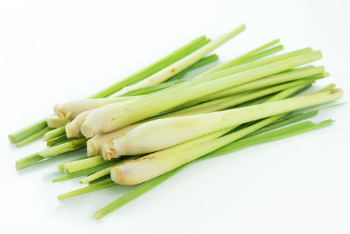 lemongrass oil