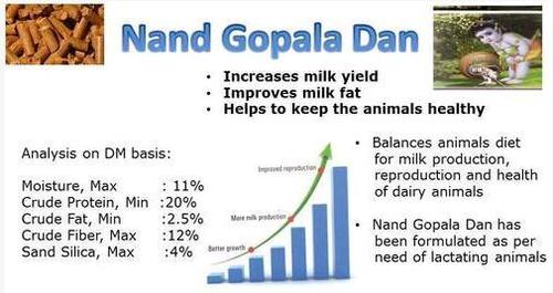 Nand Gopala Dan (Cattle Feed)