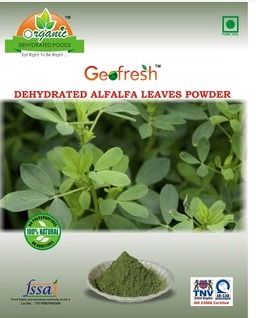 Dehydrated Alfalfa Leaves Powder