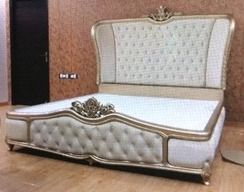 Designer Sofa cum Bed