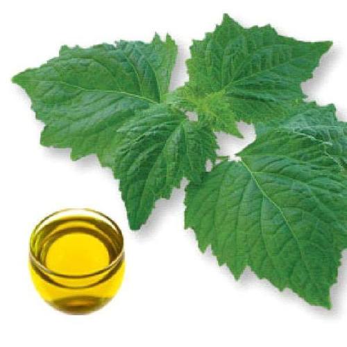 Patchouli Oil