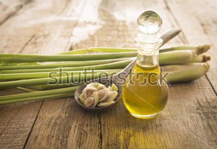 Umber Color Lemongrass Herbal Oil