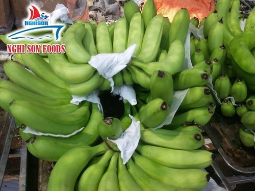 Fresh Cavendish Banana