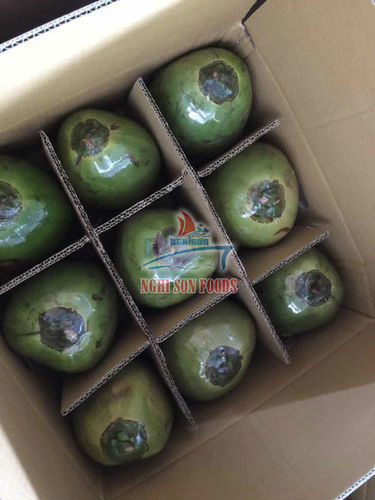 Green Fresh Young Coconut