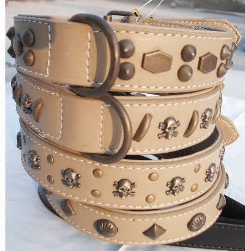 Trendy Fancy Dog Collars