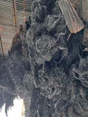Round Bush