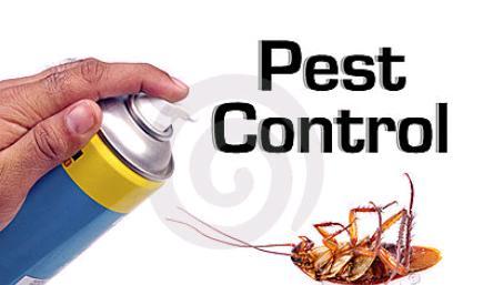 Swami Pest Control Services