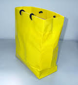 Paper Cary Bags