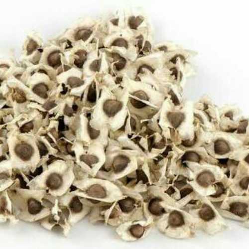 Moringa Seeds