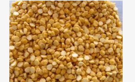 Fresh Chana Dal