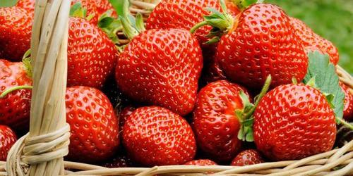 Strawberry Flavours - Premium Quality Natural Essence | Rich Strawberry Aroma, Perfect for Baking and Beverages