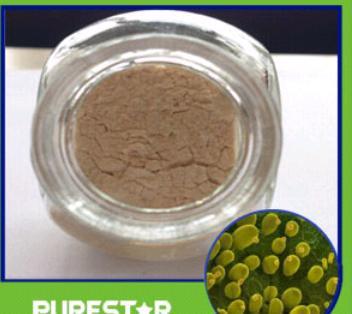 Yeast Beta Glucan