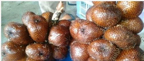 Snake Fruit