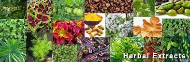 Ayurvedic Herbal Extracts