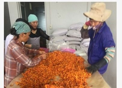 Vietnam Dried Pumpkin