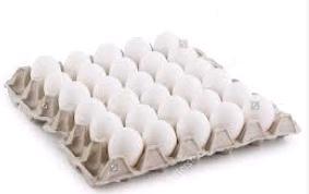 White Eggs