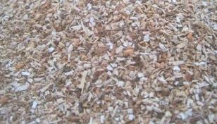 Wood Sawdust For Mushroom Cultivation