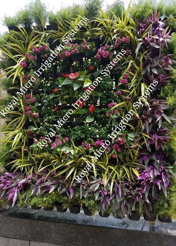 Green Wall Landscaping Services By ROYAL MICRO IRRIGATION SYSTEMS