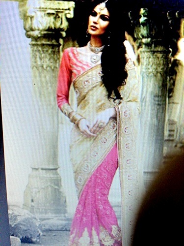 Designer Saree