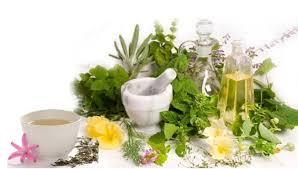 Herbal Product Testing Solutions