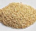 Natural White Sesame Seeds Admixture (%): No Admixture Is Aded