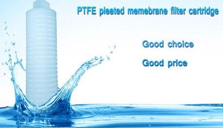 Ytptfes Series Ptfe Pleated Membrane Filter Cartridge