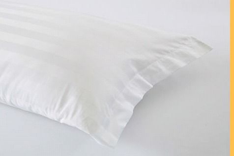 Wholesale Decorative Waterproof Zipper 100% Cotton Pillow Case