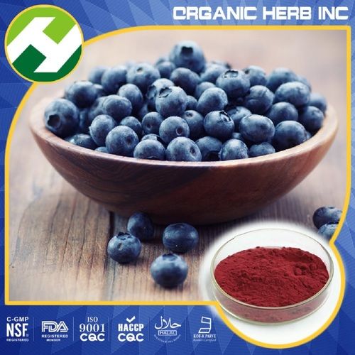 bilberry extract