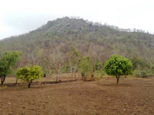 भूजल के संदर्भ में पारिस्थितिकी और पर्यावरण अध्ययन