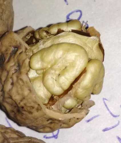 Kashmiri Burzul Walnuts