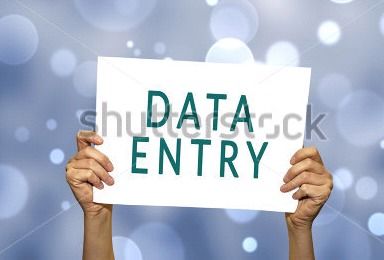 Online Data Entry Form Filling Project Services