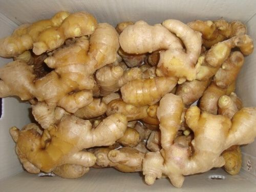 Fresh Ginger Flow Rate: Max. 120 Lpm