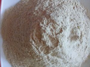 Chitosan Powder