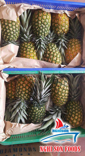 Healthy And Fresh Pineapple