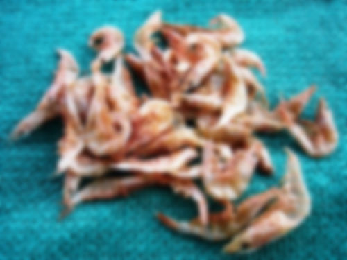 Dried Shrimps