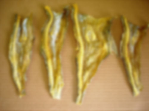 Dried Laminated Bombay Duck Fish