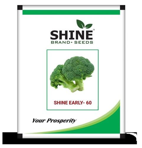 Shine Early 60 Hybrid Broccoli Seeds Purity: 96 %