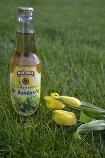 Kombucha Tea