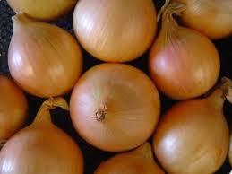 Brown Onion