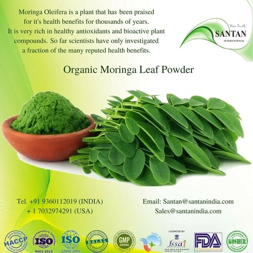 Organic Moringa Leaf Drumstick Oleifera Powder