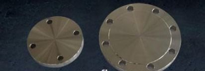 Washable High Quality Ss304/Ss316 Forged Stainless Steel Flange