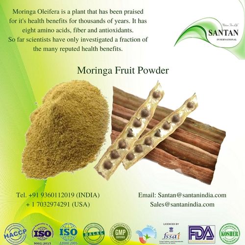 GMP Certified Hot Selling 100% Natural Moringa Fruit Powder